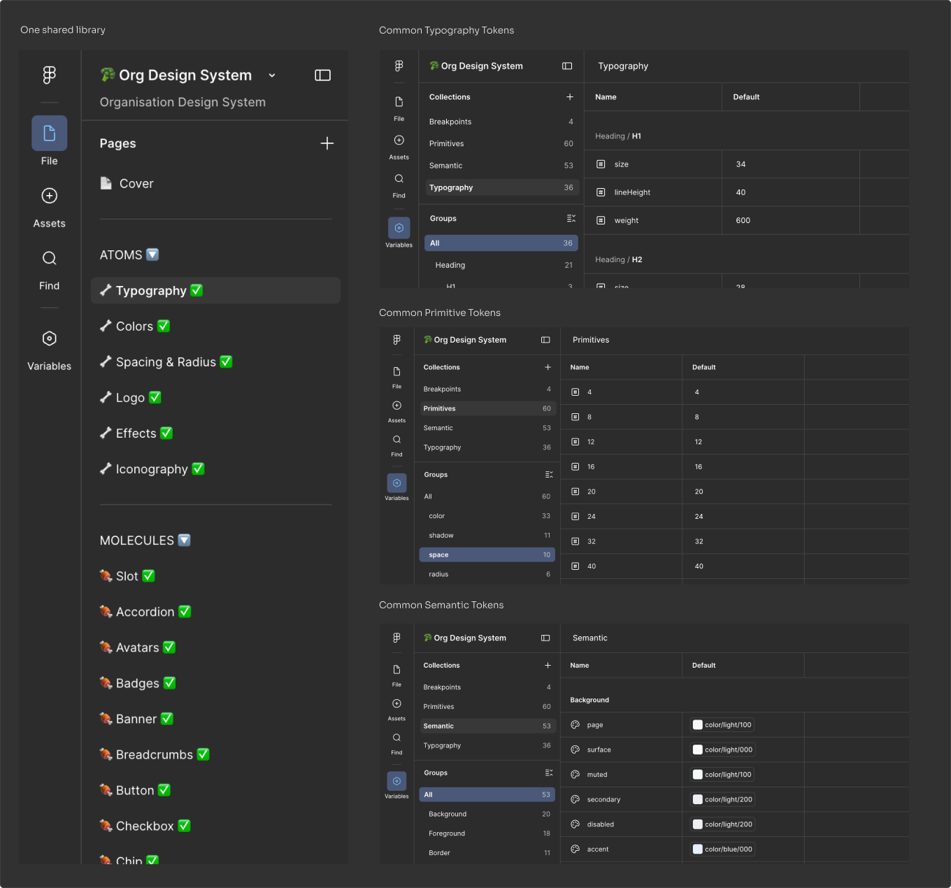 One shared library: typography, primitive and semantic tokens in the Org Design System